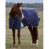 WeatherBeeta Coperta da paddock , taglia 135 - Comfitec Plus Dynamic, modello per uso esterno, 0 grammi - Blu navy/Verde bosco