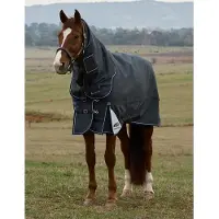 WeatherBeeta Coperta da paddock , taglia 160 - Comfitec Ultra Turnout, modello con collo removibile, 100 grammi - colore grigio antracite