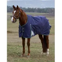 WeatherBeeta Coperta da paddock , taglia 135 - Comfitec Plus Dynamic, imbottitura 100g - Blu navy/Verde bosco