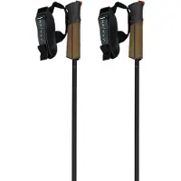 Fischer Bastoncini Gt 11 Carbon Mag