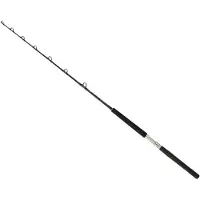 Daiwa Canna Da Traina Sealine X Slxtr100agbf