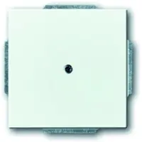 Busch-Jaeger 1742-84 Disco centrale cieco con anello di supporto Future Linear studio bianco