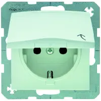 Hager Presa di corrente Berker SCHUKO c/gl 47518982