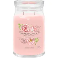 Yankee candle Fresh Cut Roses Signature 567 g — Candela