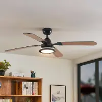 LUCANDE Ventilatore da soffitto LED Tedric, nero, silenzioso, 133 cm