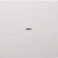 Berker KNX S.1/B.X COVER PWS (80960289)