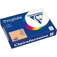Clairefontaine Carta Colorata Albicocca A4160 g/m² (250 fogli)