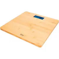 TM Electron Bilancia Tmpbs032