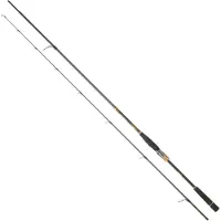 Daiwa Canna Spinning Morethan Branzino Expert Ags