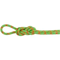 Mammut 8.0 Alpine Core Protect Dry Rope Mezza corda (30 m, verde)