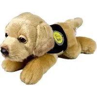Bocalan Orsacchiotto Labrador Con Gilet 21 Cm