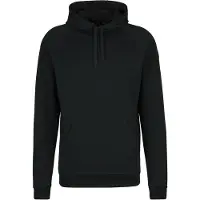 Stoic MerinoFleece335 MMXX.Lulea Hoody Felpa di merino con cappuccio Uomo (M, nero)