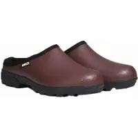 Aigle Zoccoli Nd443