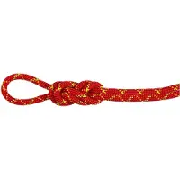 Mammut 8.0 Alpine Core Protect Dry Rope Mezza corda (30 m, rosso/bianco)