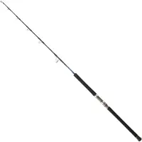 Daiwa Canna Jigging Saltiga Hiramasa