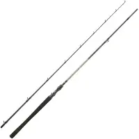 Daiwa Canna Baitcasting Exceler 2 Sezioni