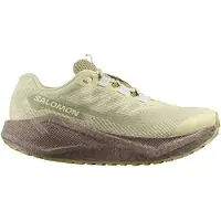 Salomon Women's Aero Blaze 3 Grvl GTX Scarpe da corsa Donna (36, beige)