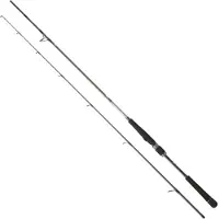 Daiwa Canna Spinning Saltist Seabass