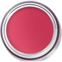 Bobbi Brown Pot Rouge Velvet Matte Guava Punch 8,5 g — Blush in Crema