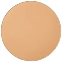 MAC Studio Fix Powder Plus C40 12 g — Fondotinta e Cipria in Polvere