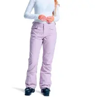 Roxy Women's Backyard Pants Pantaloni da sci Donna (XL, grigio)