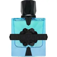 French Avenue Magnetiq Aromatix Unisex 100 ml — Eau de Parfum