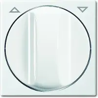 Busch-Jaeger disco centrale per tende/temporizzatori 2542 DR-914