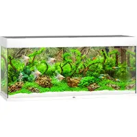 Juwel Rio 240 acquario con illuminazione a LED, pompa, filtro, riscaldatore senza mobile bianco