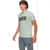 Mammut Trovat T-Shirt Logo T-shirt Uomo (L, verde)