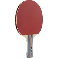 Joola Racchetta Da Ping Pong Team School
