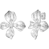 Yokoamii Orecchini argento