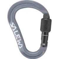 Salewa Ortles HMS S Carabiner Connettori HMS grigio
