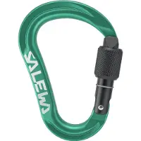 Salewa Ortles HMS S Carabiner Connettori HMS variopinto