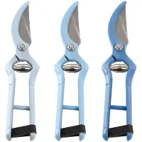 Esschert Design forbici per frutta e fiori blu (1 pezzo)