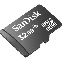 SanDisk Scheda Di Memoria Micro Sdhc Only 32gb