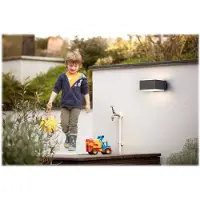 Philips Hedgehog - un'applique sempre moderna