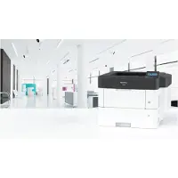 Ricoh Stampante Laser P800