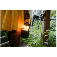 Pure Altoparlante Bluetooth Woodland Glow