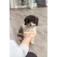 Trixie Spuntino 31261 18 Unità