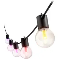 Philips Hue White & Color Ambiance Prolunga Per Strisce Luminose Per Esterno Globe Festavia 21 M
