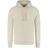 Dstrezzed Ds_damien Hoody Silver Birch Taglia: S | Felpe con cappuccio Outlet | Uomo | Grigio