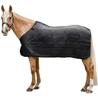 Waldhausen Thermo 200 g Tappeto verde 155 cm Verde 155 cm