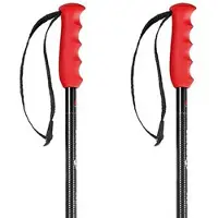 Nordica Bastoncini Freeride Pro