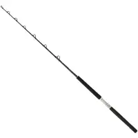 Daiwa Canna Da Traina Sealine X