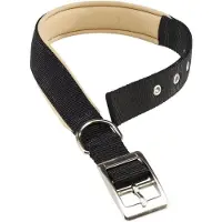Ferplast Collare Per Cani Nylon Daytona C 20 Mm 43 Cm