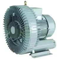 AstralPool 47179 Turbopuster da 0,85-0,95 kW per l'alimentazione dell'aria nelle vasche idromassaggio - Argento Argento - Taglia unica