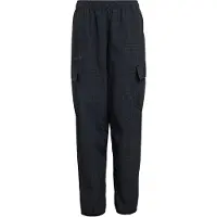 Adidas Pantaloni Terrex Xploric Clima365 Cargo