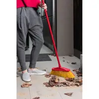 Vileda Spazzola Per Pulire Broom