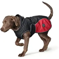 DOG SPORT Coat Uppsala Cozy Cappottini per cani (Rücken 40 cm - Hals 30-56 cm, Bauch 56-80 cm, grigio/rosso)