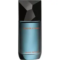 Issey Miyake Fusion D'Issey 100 ml — Eau de Toilette